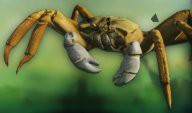 Krab